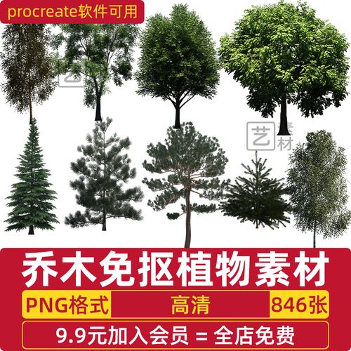 建筑景观园林图植物png格式源文件ps高清后期免抠大树木素材
