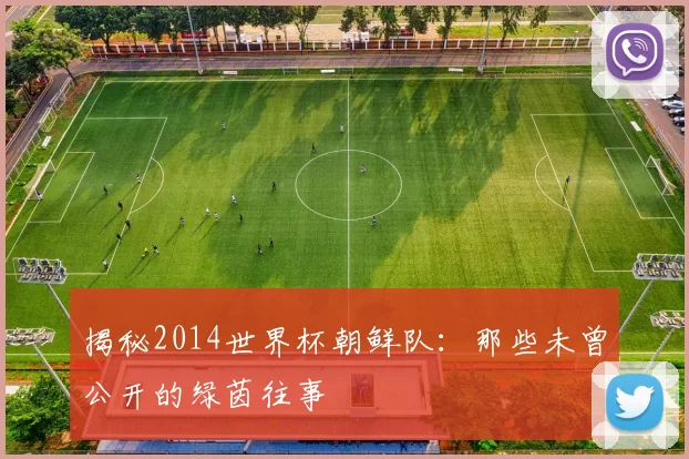 揭秘2014世界杯朝鲜队：那些未曾公开的绿茵往事
