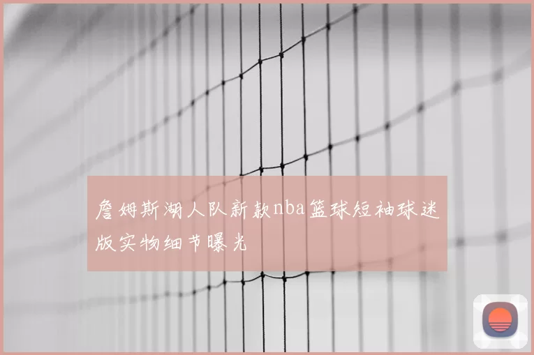 詹姆斯湖人队新款nba篮球短袖球迷版实物细节曝光