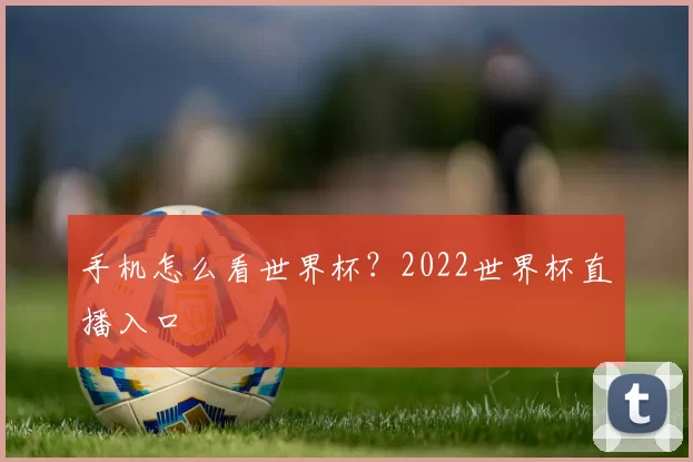 手机怎么看世界杯？2022世界杯直播入口