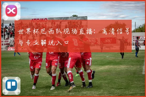 世界杯巴西队现场直播：高清信号与专业解说入口