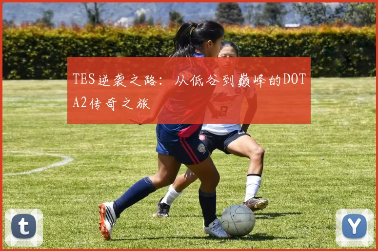 TES逆袭之路:从低谷到巅峰的DOTA2传奇之旅