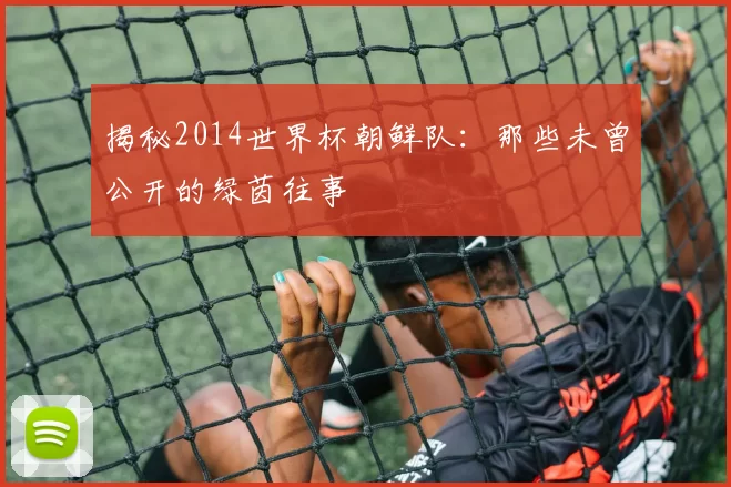 揭秘2014世界杯朝鲜队：那些未曾公开的绿茵往事