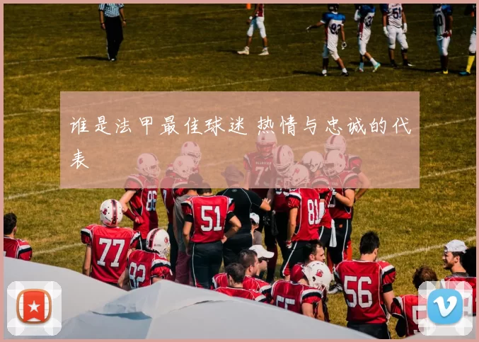谁是法甲最佳球迷 热情与忠诚的代表
