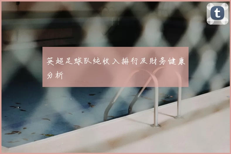 英超足球队纯收入排行及财务健康分析