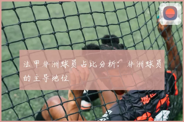 法甲非洲球员占比分析：非洲球员的主导地位