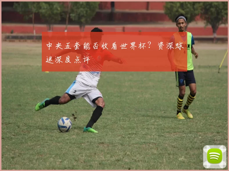 中央五套能否收看世界杯?资深球迷深度点评