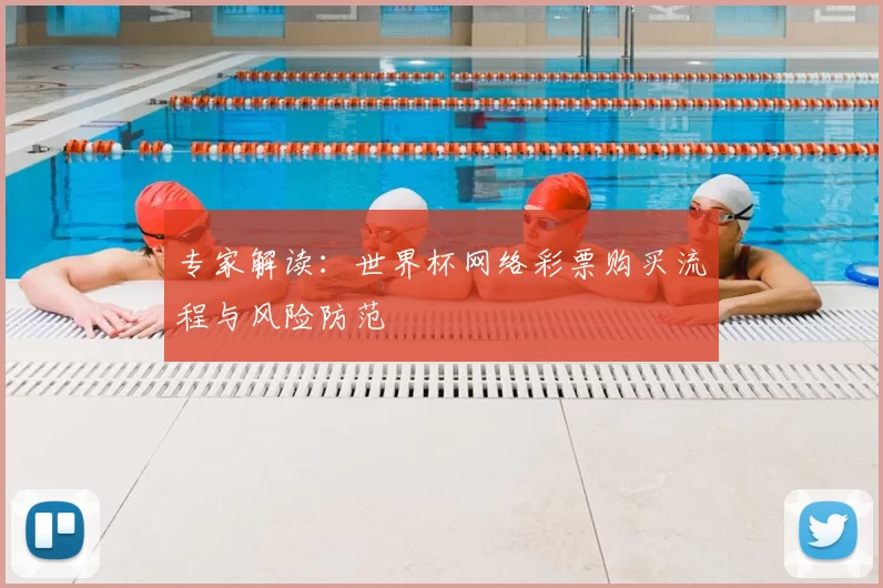 专家解读：世界杯网络彩票购买流程与风险防范