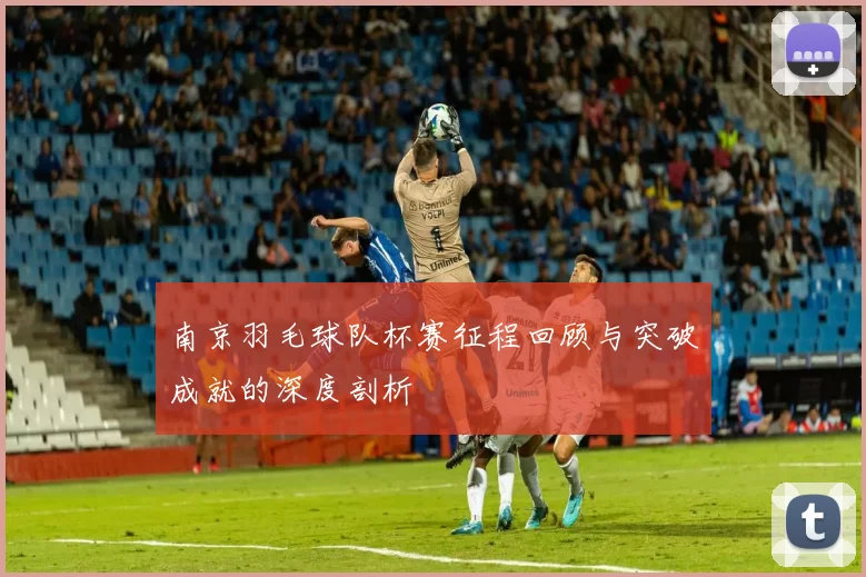 南京羽毛球队杯赛征程回顾与突破成就的深度剖析