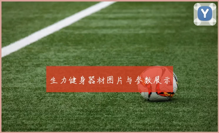 生力健身器材图片与参数展示
