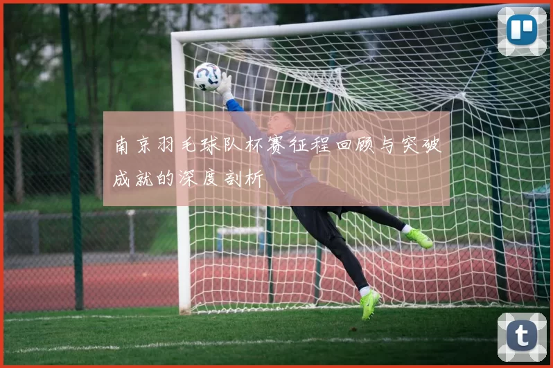 南京羽毛球队杯赛征程回顾与突破成就的深度剖析