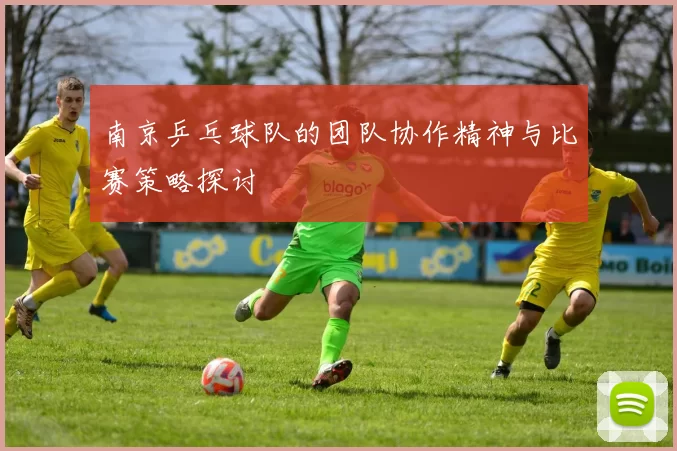 南京乒乓球队的团队协作精神与比赛策略探讨