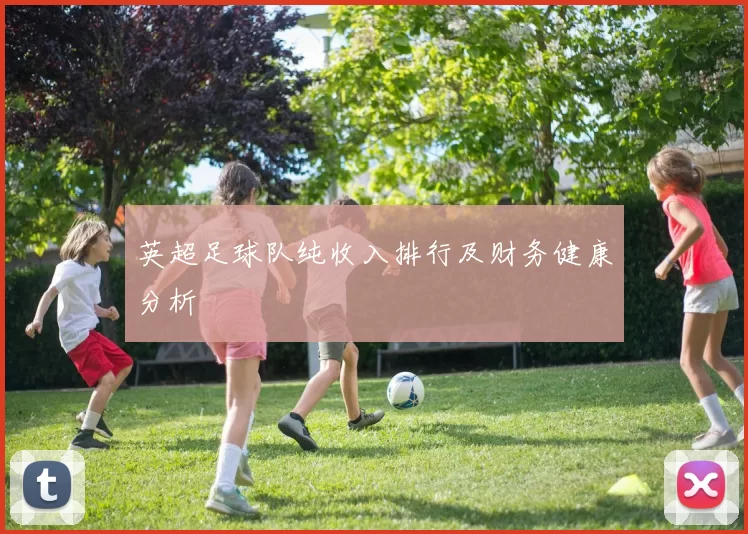 英超足球队纯收入排行及财务健康分析
