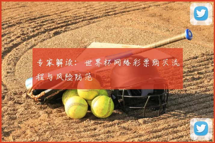 专家解读：世界杯网络彩票购买流程与风险防范